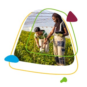 Foundational Sustainability Skills & Competencies from Arizona State University online course platform