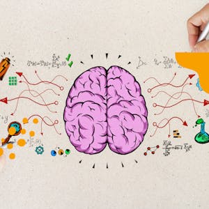 Design Brainstorming diagrams for businesses with Creately - Online CE Course