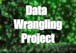 Data Wrangling with Python Project