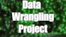Data Wrangling with Python Project