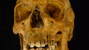 Osteoarchaeology: The Truth in Our Bones