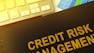 Credit Risk Management: Frameworks and Strategies