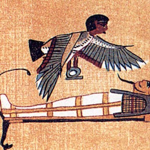 Soul Beliefs: Causes and Consequences - Unit 3: How Does It All End? - Online CE Course