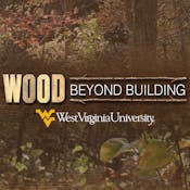 Wood Science: Beyond Building