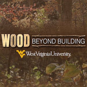 Wood Science Beyond Building