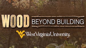 Wood Science: Beyond Building