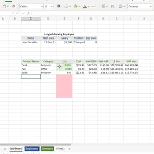 Excel for Beginners: Sorting, Filtering, Data-Validation - Online CE Course