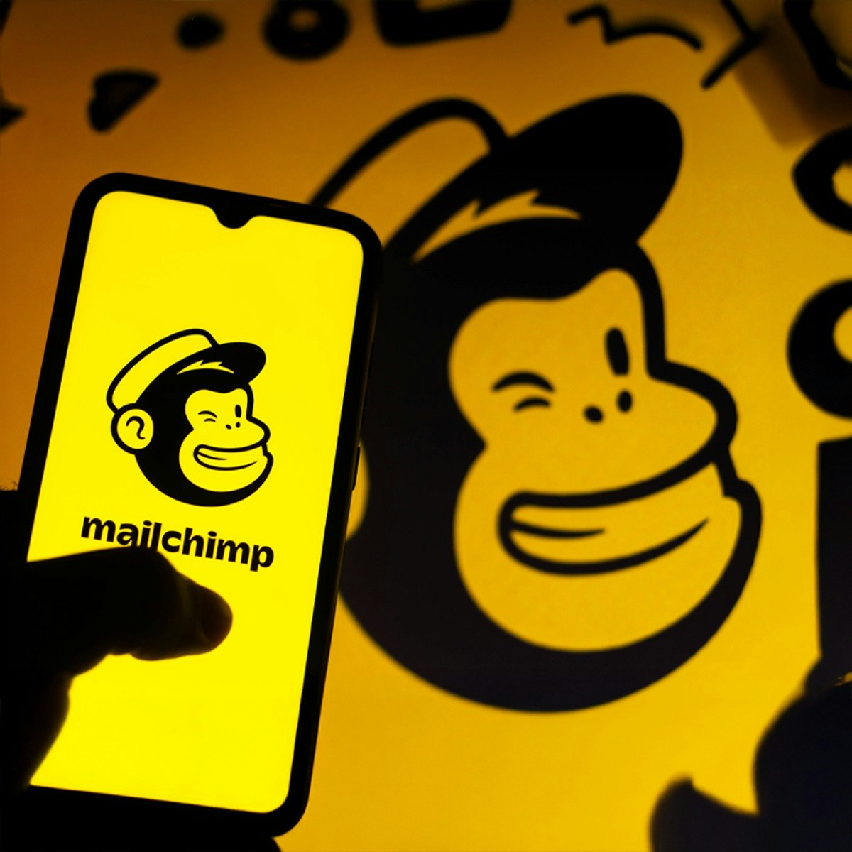 Mailchimp Basics Training for Beginners