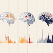 Foundations of Sales Psychology and Buyer Behavior