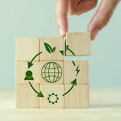 Circular business models fostering sustainability