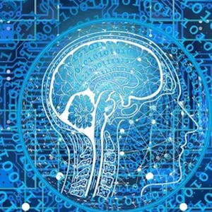 Supervised Machine Learning Classification