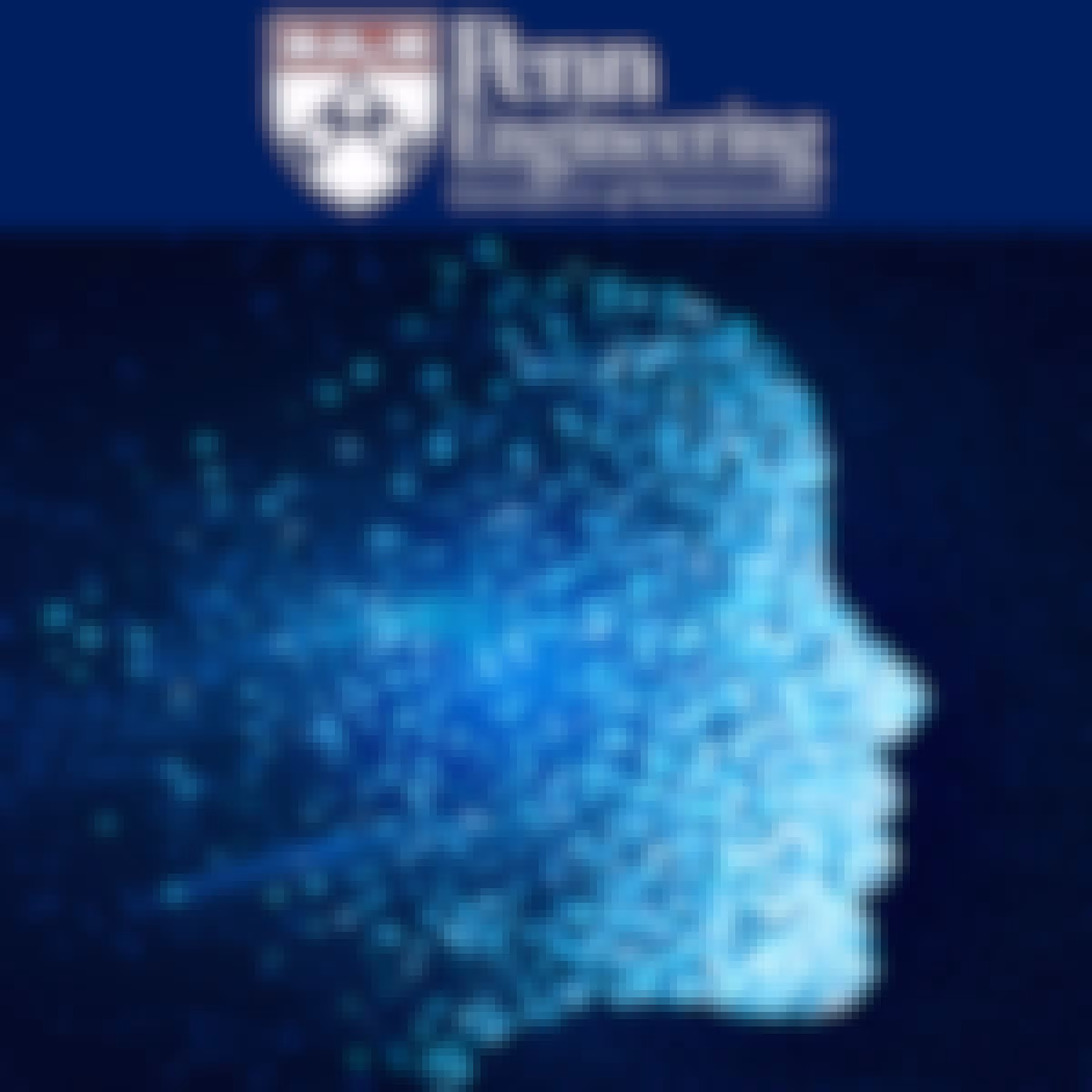 Computational Thinking for Problem Solving | Coursera