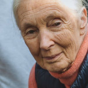 Compassionate Leadership Through Service Learning with Jane Goodall and Roots & Shoots from Coursera | Course by Edvicer