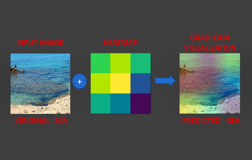 Deep Learning with PyTorch : GradCAM