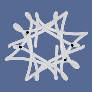 Computer Science: Programming with a Purpose from Princeton University online course platform