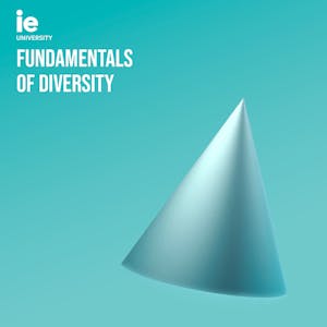 Fundamentals of Diversity