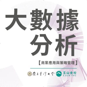 大數據分析:商業應用與策略管理 (Big Data Analytics Business Applications and Strategic Decisions)