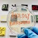 Biologie Überall Grundlagen