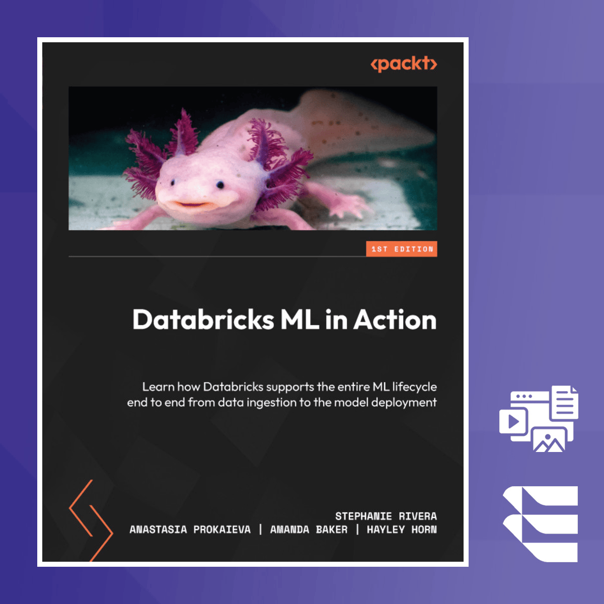 Databricks ML in Action