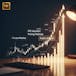 IPO Process: Analyze, Evaluate & Launch