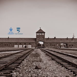 The Holocaust - An Introduction (II): The Final Solution from Coursera | Course by Edvicer