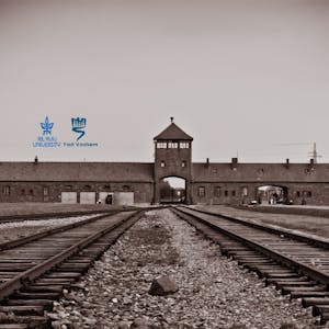 The Holocaust - An Introduction (II): The Final Solution