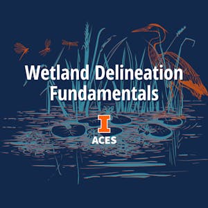 Wetland Delineation Fundamentals from University of Illinois Urbana-Champaign online course platform