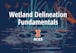 Wetland Delineation Fundamentals