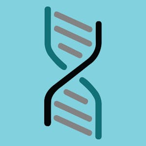 Genomics Decoding the Universal Language of Life