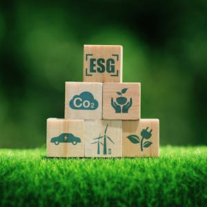 Sustainability for Business: ESG Fundamentals - Online CE Course