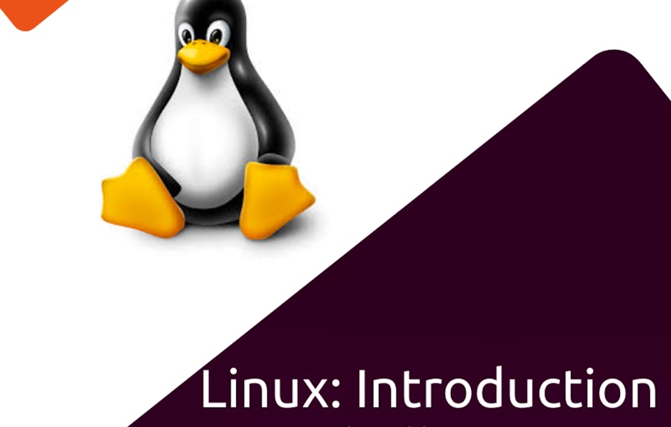 Hands-on Introduction to Linux Commands and Shell Scripting | Coursera