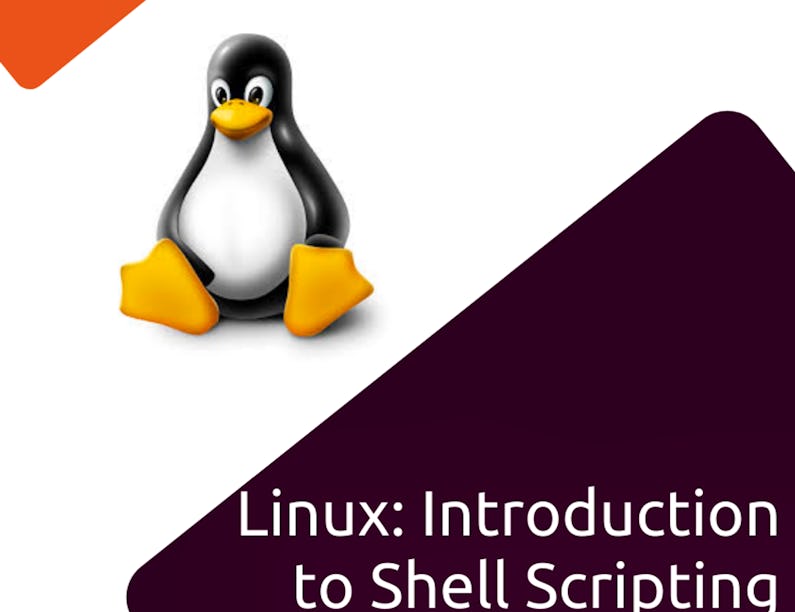 Introduction to Bash Shell Scripting (1-Hour Beginner Project) | Coursera