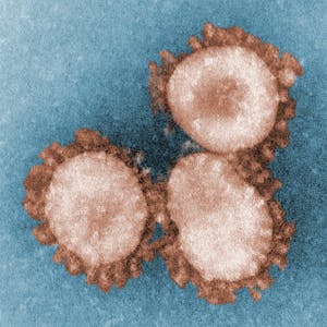 Virology and Epidemiology in the Time of COVID-19 - Online CE Course