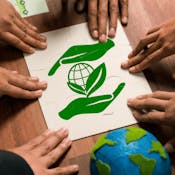 Sustainability in Business: Building a Greener Future