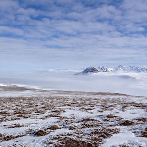 Polar Peril - Online CE Course