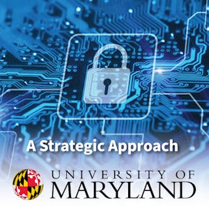 A Strategic Approach to Cybersecurity