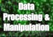 Data Processing and Manipulation