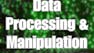 Data Processing and Manipulation