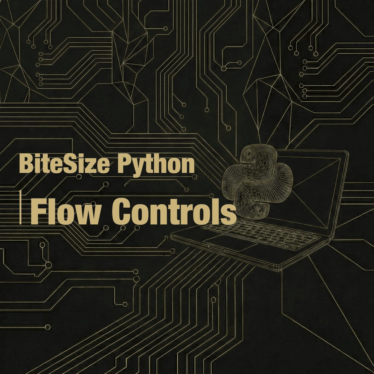 BiteSize Python for Absolute Beginners: Flow Controls