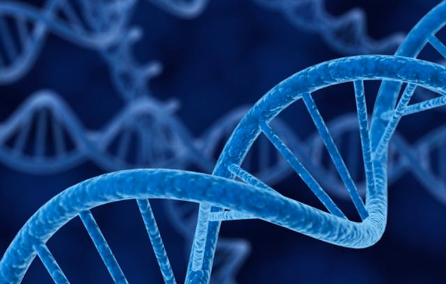 Everlasting Genetics Introduction to Genetics and Evolution | Coursera