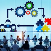 Managing High Performing Teams
