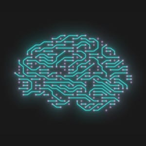 AI Workflow Business Priorities and Data Ingestion
