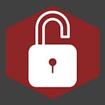 Introduction to Cybersecurity for Business