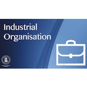 Теория отраслевых рынков (Industrial Organization)