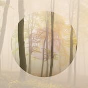 Ecology: from cells to Gaia