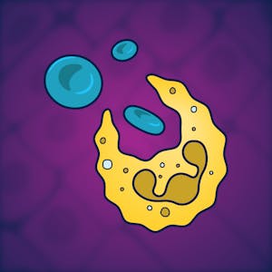 Immunology: Autoimmunity, Allergy, and Transplants - Online CE Course