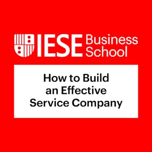 How to Build an Effective Service Company