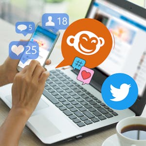 Image for the Créer des visuels Twitter pour entreprises avec PicMonkey course