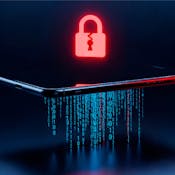 Vulnerability Assessment and Management