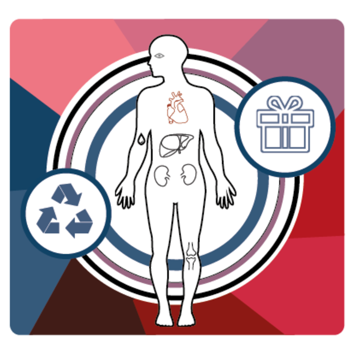 Organ Donation: From Death To Life | Coursera